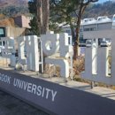 N잡러를 위한 미리캔버스 활용 이미지