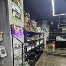 렉컴퍼니 | 평택파충류샵 더렙컴퍼니, 매장 리뉴얼 완료!