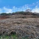 옥천군청산면예곡보건진료소 이미지