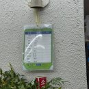 꽃무리 | 양재 꽃시장 화훼공판장 영업시간, 주차, 가격 후기