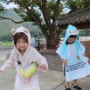 라쿠니