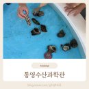 욕지도서관 | 통영여행 통영수산과학관 살아있는 바다생물 만져보는 체험 가능한 해양박물관