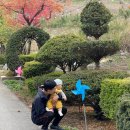 송계계곡민박 이미지