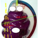 코어모션 이미지