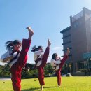 계명대꿈나무태권도장 이미지