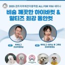 피카소 동물병원 미용 이미지