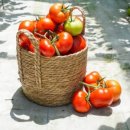 오두농장 이미지