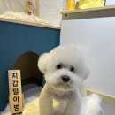 환해지개 네이버블로그