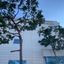 마도작은도서관 이미지