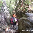 신복초등학교 이미지