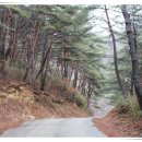 장수방화동캠핑장 이미지