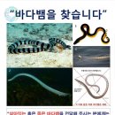 슈퍼낚시 - 아산시 송곡남길 87-39 | 슈퍼낚시