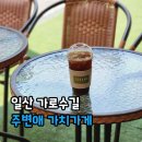 일산 가로수길 주변애 가치가게 다녀왔어요
