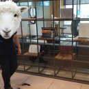 메디슨약국 이미지