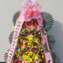 (주)비에이치앤바이오