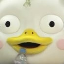 스튜디오해픈 이미지