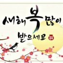 대체 선생님 카톡방을 운영하고 있습니다. 이미지