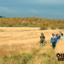 힐링&헬스 이미지