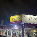 동대전로 | 대전 가양동 맛집 가양막창 | 가양네거리 근처 맛있는 소•돼지 생막창집 후기