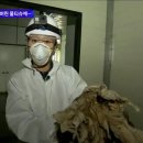 교대로 Daum카페