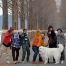 (주)반려애수 | 상근이 친구 줄리를 아십니까?