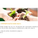 래더피아