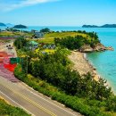 고흥숲속의바다 이미지