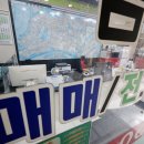 포스코더샵공인중개사사무소 이미지