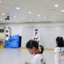 용인대 안산 타이거즈 태권도장 이미지