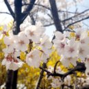 흥천체육공원 축구장 이미지