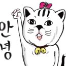 스텐바이커피 이미지