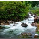 신흥교입구 이미지