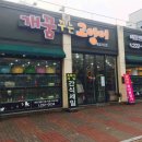 개꿈꾸는 고양이 이미지