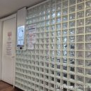 대진약국 | 강남차 시험관 1차 성공 후기(쌍둥이 포도들)