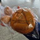 감천항로 | [강원] 뚜벅이들의 묵호, 강릉 2박 3일 여행기 1일차