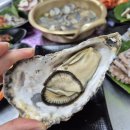 고흥읍 여산당촌길 이미지