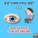 너담 이미지