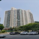 동림용산로 네이버블로그
