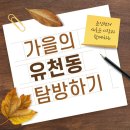 계백로1584번길 20(중부새마을금고 앞) | [청년인턴활동] 유천동을 탐사하다!