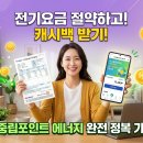 에너지경제 | 탄소중립포인트 에너지, 실제 참여 후기! 장단점부터 '이것'만 조심하면 포인트 쌓인다?