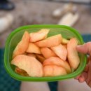 양저대로 도로 앞 간이화장실 | 포항 이가리닻 간이해변 물놀이 후기 취사 가능하고 물 맑은 해수욕장
