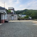 단월애