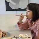 고일농장 | 아기 돼지고기 담백한 프리미엄 흑돼지 엉파 이베리코 돼지