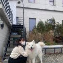 카페시월 이미지