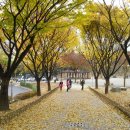 상리공원 내 이미지