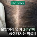 모뜰리에