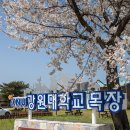 강원대학교 동물생명과학대학 부속목장 이미지