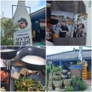 서대 경로당 | 전현무계획 여수 낭도 맛집 젖샘막걸리 낭도 막걸리 백년도가식당