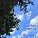 저곳이 천국 이미지