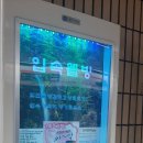 캔디노래연습장 이미지